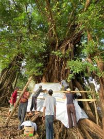 Tradisi Pasang Krapyak Menjelang Rasulan di Padukuhan Ngasem