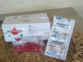 Rakor Kader Kesehatan, Ada Pembagian Obat Cacing, Vitamin A, Dan Tablet Tambah Darah Rematri