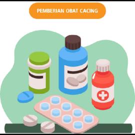 Pemberian Obat Cacing, Jenis Pelayanan Preventif Kesehatan 