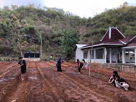 KKN Ampta Yogyakarta Mengikuti Kegiatan Pertanian Di Padukuhan Pacungan