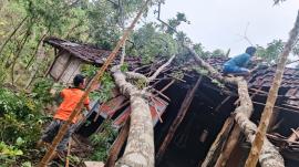 RUMAH NGADIYO TERTIMPA POHON BESAR AKIBAT HUJAN LEBAT - PUDAK TEPUS 