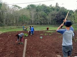 Kelompok Tani Rojo Koyo Memulai Penanaman Bibit Jagung - Blekonang I 