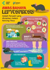 Waspada Leptospirosis, Kenali Apa itu dan Tanda Bahayanya 