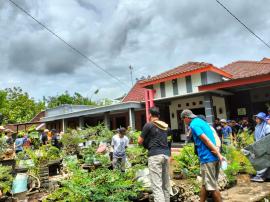 Mengungkap Pesona Wisata Edukasi Bonsai di Kampung Bonsai, Tepus