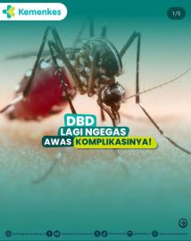 Bahaya DBD : Tanda-tanda Komplikasi Dengue Shock Syndrome (DSS) 