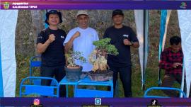 Komunitas Bonsai Tepus Berpartisipasi dalam Pameran Ekraf PLN Icon Plus di Pantai Wediombo