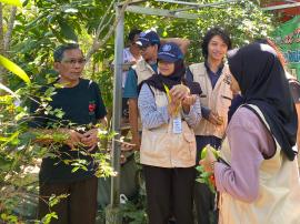 KKN UGM Explore Kebun Buah Exotic Azahra Untuk pengembangan Desa Wisata