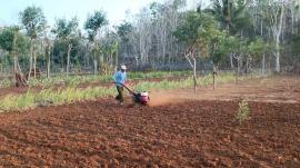 Hibah Traktor Dari Pemerintah Kalurahan Tepus Dimanfaatkan Langsung Oleh Warga Padukuhan Pudak