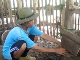 Waspada Pencurian Kambing di Ladang Warga