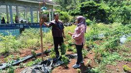 Monitoring Lomba TTG Tingkat Kabupaten di Kalurahan Tepus