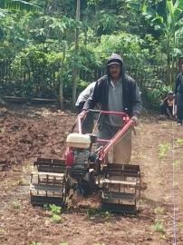 Gapoktan Tepus Lakukan Persiapan Masa Tanam di Demplot Pacungan