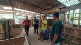 Survey Lokasi Studi Banding Kelompok Ternak Tepus di Kelor, Karangmojo dan Nglipar