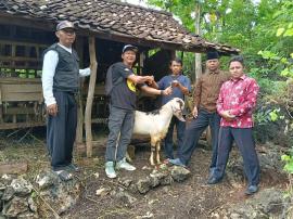 Penyerahan Kambing Kerjasama Ketahanan Pangan BUMkal Berlanjut ke Tegalweru dan Blekonang II