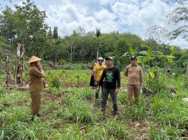 Monitoring Lahan Program Ketahanan Pangan Kalurahan Tepus