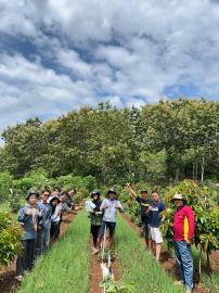 Mahasiswa Politeknik LPP Yogyakarta Kunjungi Lahan Tumpangsari untuk Dukung Kelompok Tani