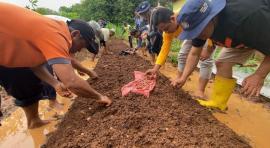KKN Politeknik LPP Yogyakarta Tutup Proker dengan Penanaman Bawang Merah Bersama Kelompok Tani Rejo 