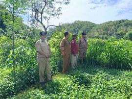 Verifikasi Lokasi Usulan Budidaya Lele di Solumo